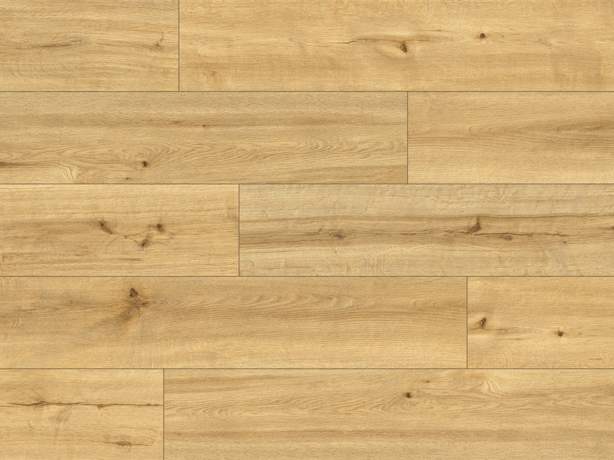 CLASSEN PRO NATURE 62536 MOCOA