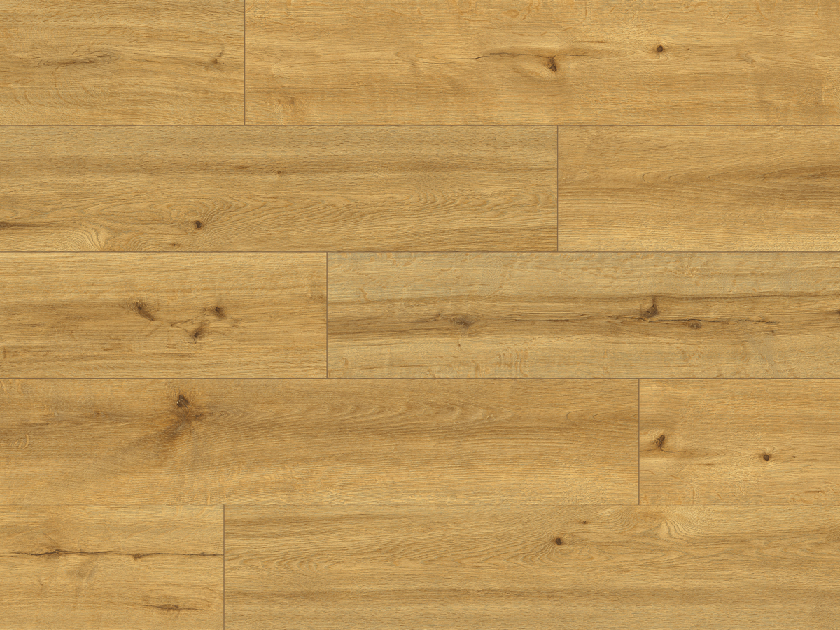 CLASSEN PRO NATURE 62538 SOLEDAD
