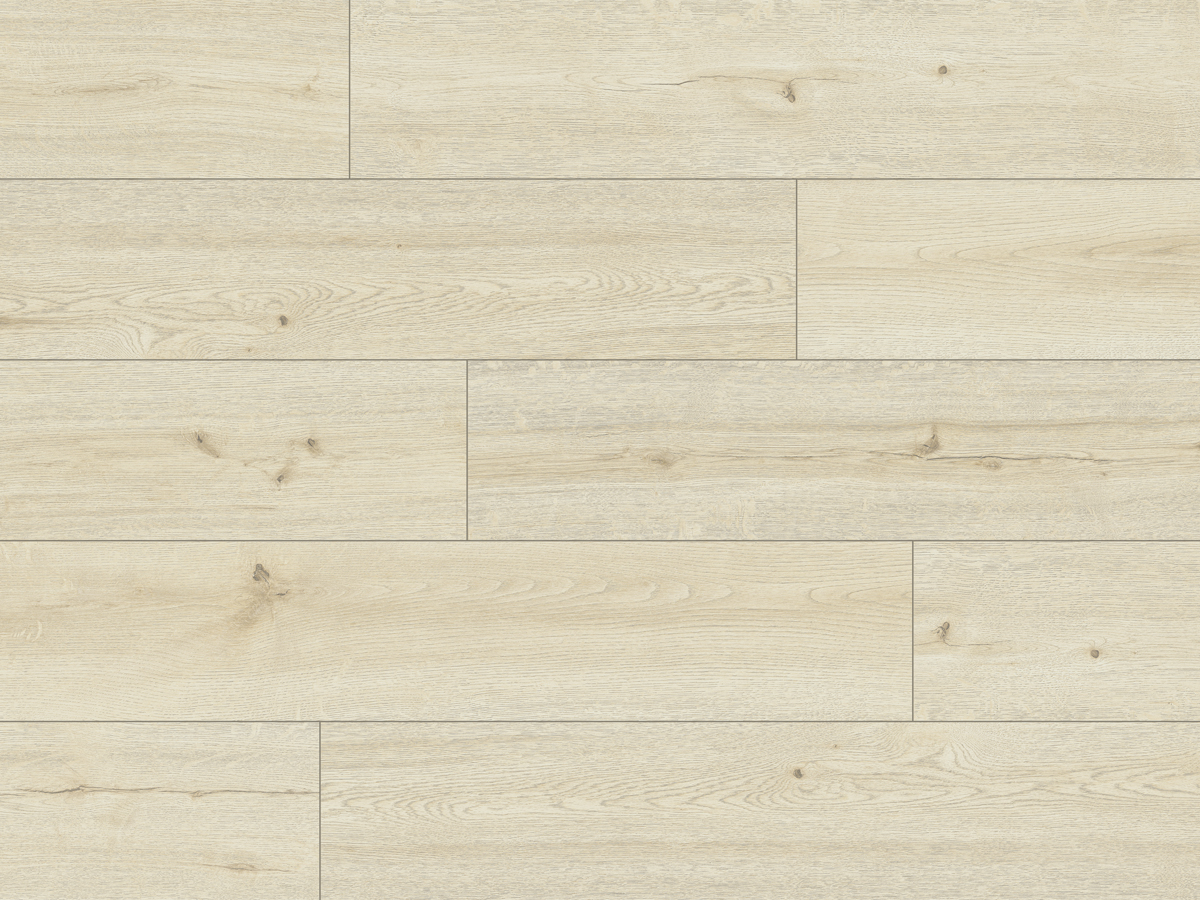 CLASSEN PRO NATURE 62540 NEIVA