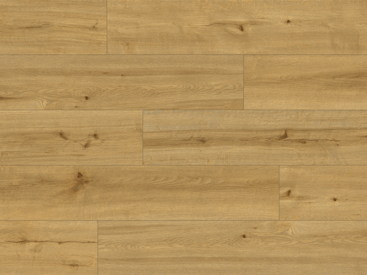 CLASSEN PRO NATURE 62543 CALDAS