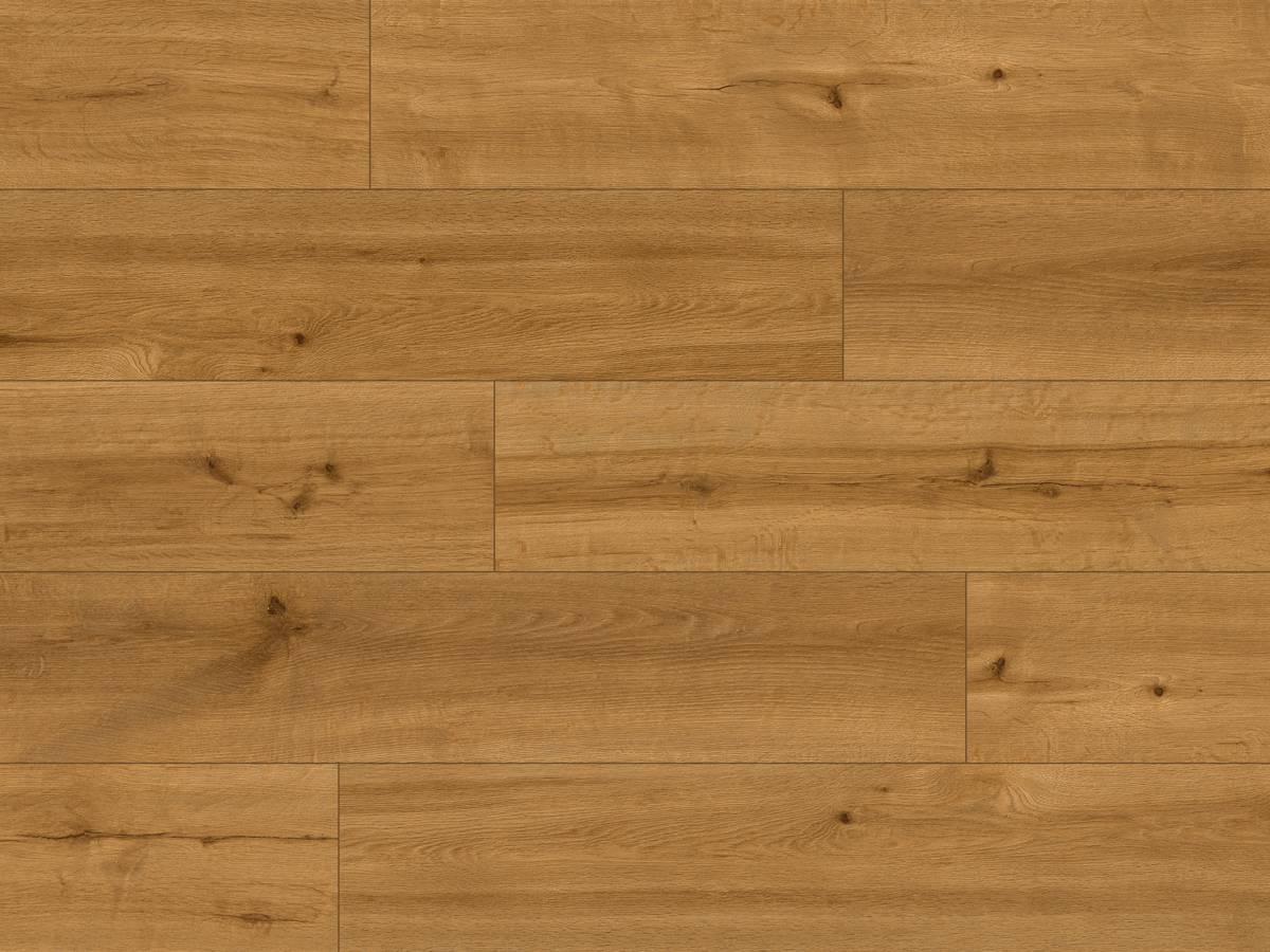 CLASSEN PRO NATURE 62544 ANDES