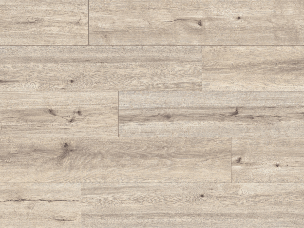 CLASSEN PRO NATURE 62545 TARAZA