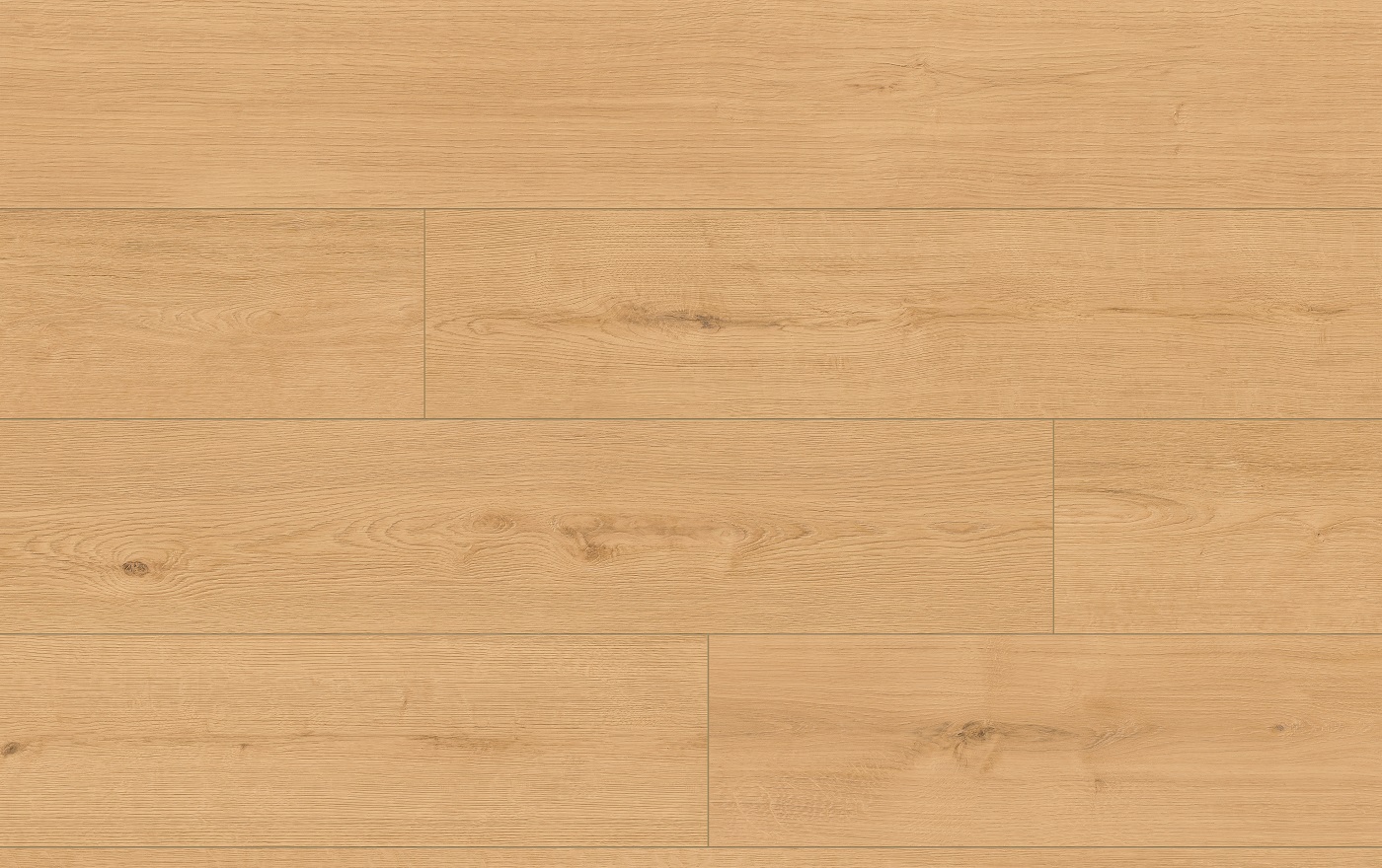 CLASSEN PRO NATURE 64633 DUB IPOLA