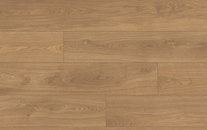 CLASSEN PRO NATURE 64637 DUB SAJO