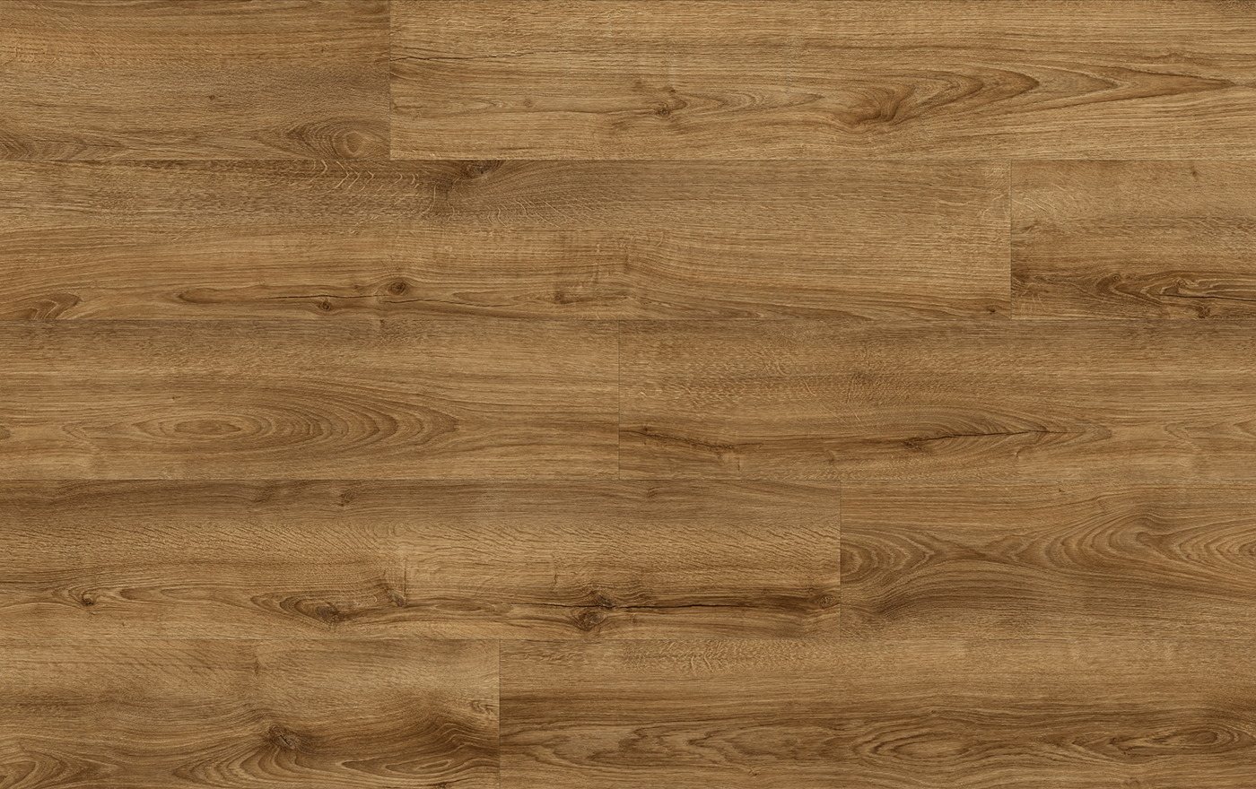 XpertPRO DIVINO DUB KENTUCKY 83853Q