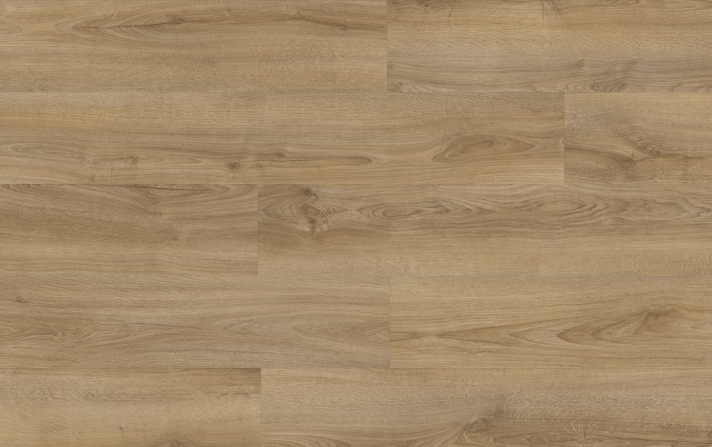XpertPRO ELECTO DUB KENTUCKY 83847Q