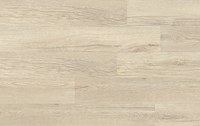 XpertPRO ELECTO DUB STELLATA 89241Q