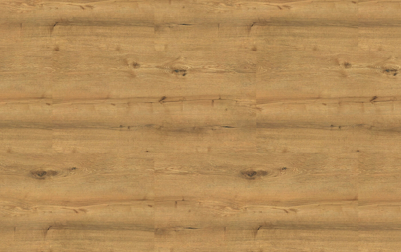 SPECTRA TITAN OAK 09W