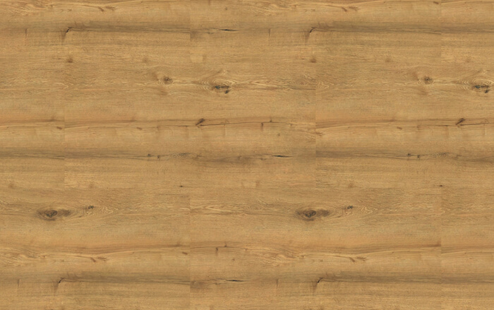 SPECTRA TITAN OAK 09W