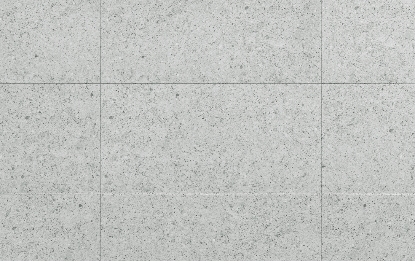 AMARON FORMA AVEIRO SILVER CAF 253