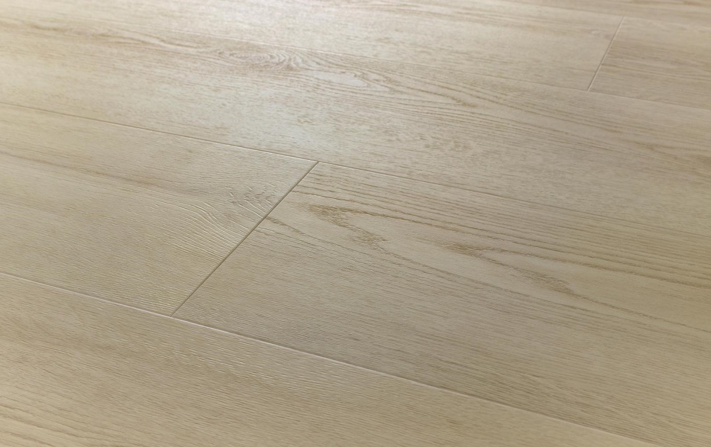 AMARON SUPERIORE CASSA 233 DUB CHARLOTTE