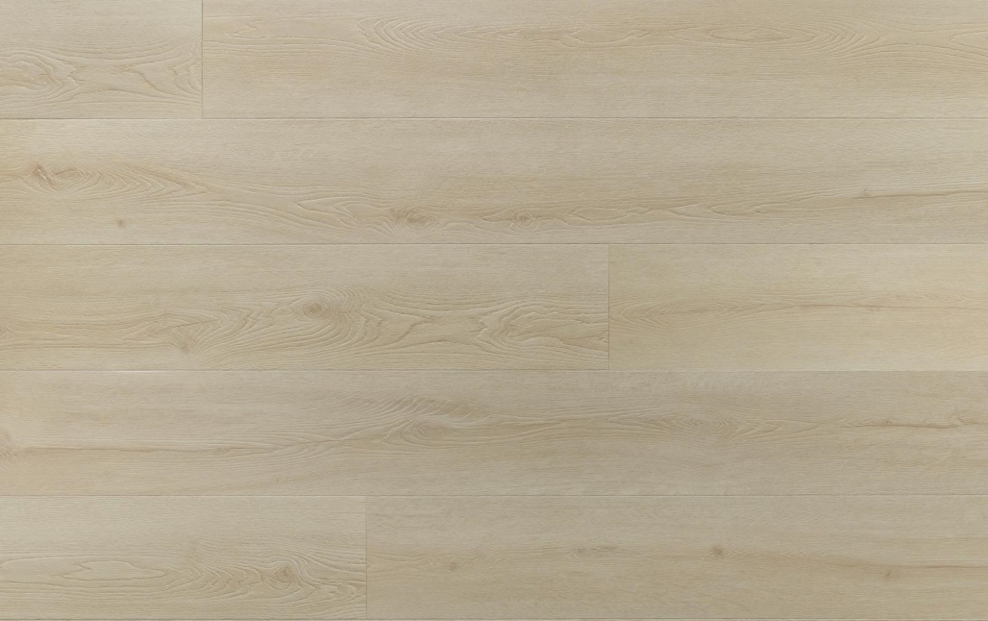 AMARON SUPERIORE CASSA 233 DUB CHARLOTTE