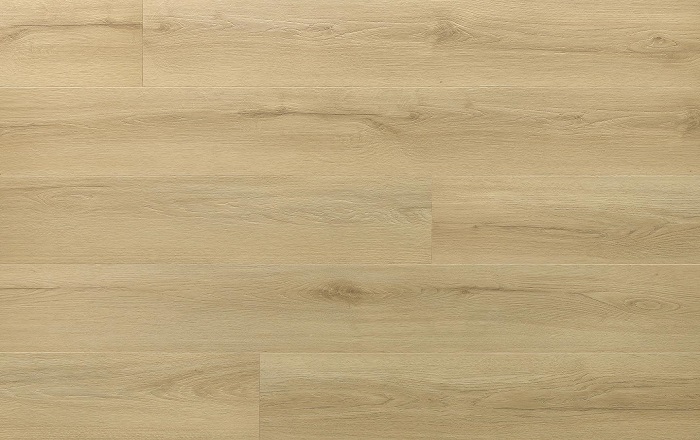 AMARON WOOD CAS 228 DUB PRINCETON